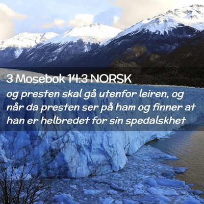 Picture 02 - 3 Mosebok 14:3 NORSK - og presten skal gå utenfor leiren, og når da - Bible Verse Picture