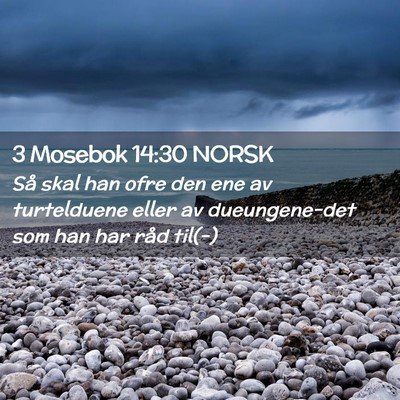 Picture 02 - 3 Mosebok 14:30 NORSK - Så skal han ofre den ene av turtelduene eller av - Bible Verse Picture