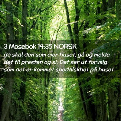 Picture 02 - 3 Mosebok 14:35 NORSK - da skal den som eier huset, gå og melde det til - Bible Verse Picture