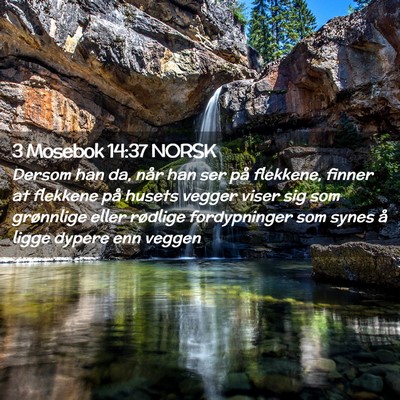 Picture 02 - 3 Mosebok 14:37 NORSK - Dersom han da, når han ser på flekkene, finner - Bible Verse Picture