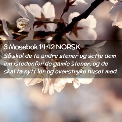 Picture 02 - 3 Mosebok 14:42 NORSK - Så skal de ta andre stener og sette dem inn - Bible Verse Picture