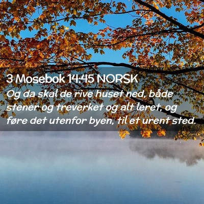 Picture 02 - 3 Mosebok 14:45 NORSK - Og da skal de rive huset ned, både stener og - Bible Verse Picture