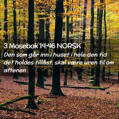 Picture 02 - 3 Mosebok 14:46 NORSK - Den som går inn i huset i hele den tid det - Bible Verse Picture