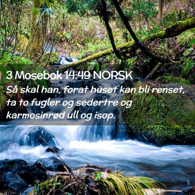 Picture 02 - 3 Mosebok 14:49 NORSK - Så skal han, forat huset kan bli renset, ta to - Bible Verse Picture