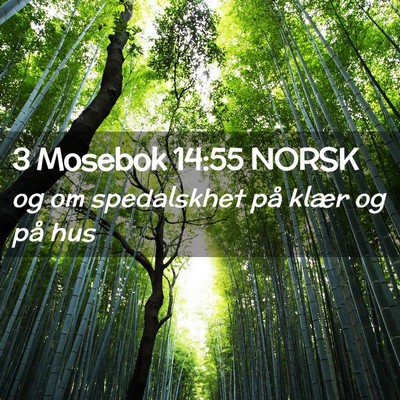 Picture 02 - 3 Mosebok 14:55 NORSK - og om spedalskhet på klær og på - Bible Verse Picture