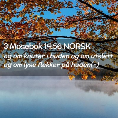 Picture 02 - 3 Mosebok 14:56 NORSK - og om knuter i huden og om utslett og om lyse - Bible Verse Picture