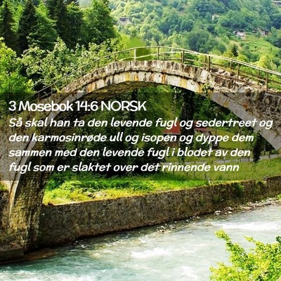 Picture 02 - 3 Mosebok 14:6 NORSK - Så skal han ta den levende fugl og sedertreet og - Bible Verse Picture