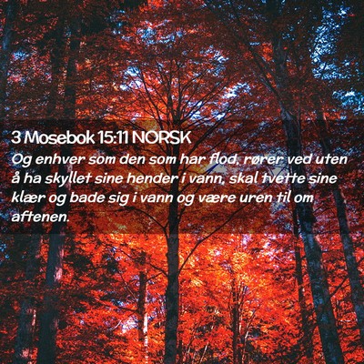 Picture 02 - 3 Mosebok 15:11 NORSK - Og enhver som den som har flod, rører ved uten - Bible Verse Picture