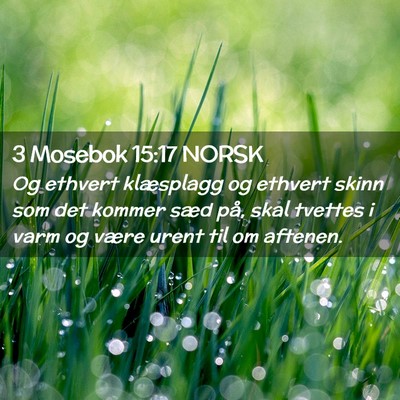 Picture 02 - 3 Mosebok 15:17 NORSK - Og ethvert klæsplagg og ethvert skinn som det - Bible Verse Picture