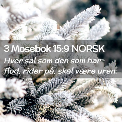 Picture 02 - 3 Mosebok 15:9 NORSK - Hver sal som den som har flod, rider på, skal - Bible Verse Picture