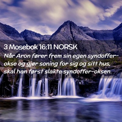 Picture 02 - 3 Mosebok 16:11 NORSK - Når Aron fører frem sin egen syndoffer-okse og - Bible Verse Picture