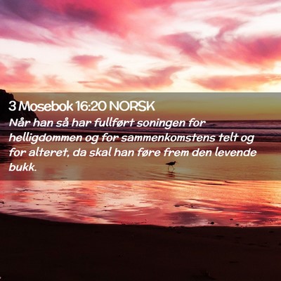 Picture 02 - 3 Mosebok 16:20 NORSK - Når han så har fullført soningen for - Bible Verse Picture
