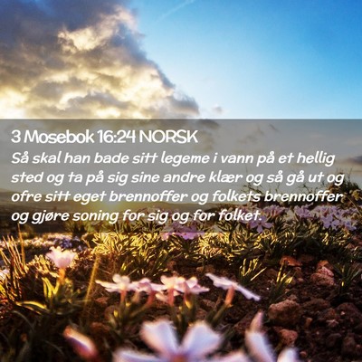 Picture 02 - 3 Mosebok 16:24 NORSK - Så skal han bade sitt legeme i vann på et - Bible Verse Picture