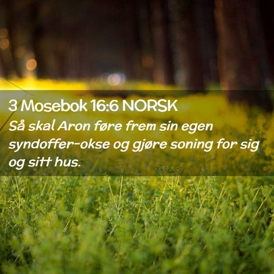 Picture 02 - 3 Mosebok 16:6 NORSK - Så skal Aron føre frem sin egen syndoffer-okse - Bible Verse Picture