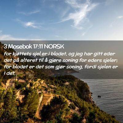 Picture 02 - 3 Mosebok 17:11 NORSK - for kjøttets sjel er i blodet, og jeg har gitt - Bible Verse Picture