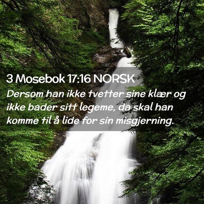 Picture 02 - 3 Mosebok 17:16 NORSK - Dersom han ikke tvetter sine klær og ikke bader - Bible Verse Picture