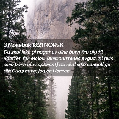 Picture 02 - 3 Mosebok 18:21 NORSK - Du skal ikke gi noget av dine barn fra dig til - Bible Verse Picture