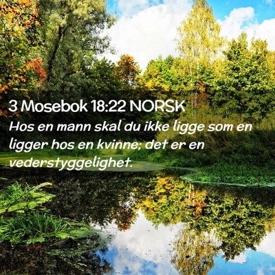 Picture 02 - 3 Mosebok 18:22 NORSK - Hos en mann skal du ikke ligge som en ligger hos - Bible Verse Picture