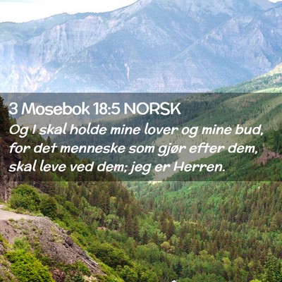 Picture 02 - 3 Mosebok 18:5 NORSK - Og I skal holde mine lover og mine bud, for det - Bible Verse Picture