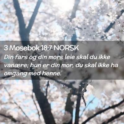 Picture 02 - 3 Mosebok 18:7 NORSK - Din fars og din mors leie skal du ikke vanære; - Bible Verse Picture
