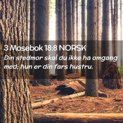 Picture 02 - 3 Mosebok 18:8 NORSK - Din stedmor skal du ikke ha omgang med; hun er - Bible Verse Picture