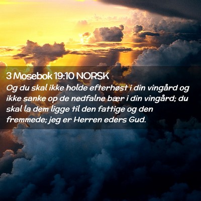 Picture 02 - 3 Mosebok 19:10 NORSK - Og du skal ikke holde efterhøst i din vingård - Bible Verse Picture