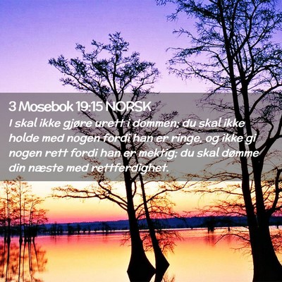 Picture 02 - 3 Mosebok 19:15 NORSK - I skal ikke gjøre urett i dommen; du skal ikke - Bible Verse Picture