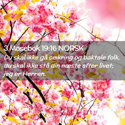 Picture 02 - 3 Mosebok 19:16 NORSK - Du skal ikke gå omkring og baktale folk, du skal - Bible Verse Picture