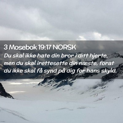Picture 02 - 3 Mosebok 19:17 NORSK - Du skal ikke hate din bror i ditt hjerte, men du - Bible Verse Picture