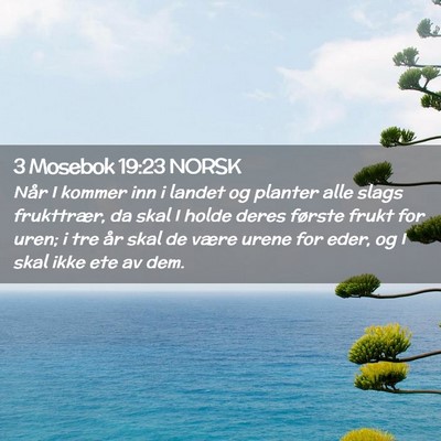 Picture 02 - 3 Mosebok 19:23 NORSK - Når I kommer inn i landet og planter alle slags - Bible Verse Picture