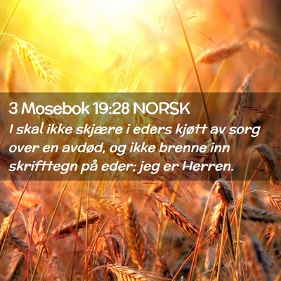 Picture 02 - 3 Mosebok 19:28 NORSK - I skal ikke skjære i eders kjøtt av sorg over - Bible Verse Picture