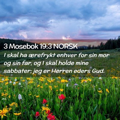 Picture 02 - 3 Mosebok 19:3 NORSK - I skal ha ærefrykt enhver for sin mor og sin - Bible Verse Picture