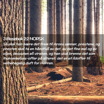 Picture 02 - 3 Mosebok 2:2 NORSK - Så skal han bære det frem til Arons sønner, - Bible Verse Picture