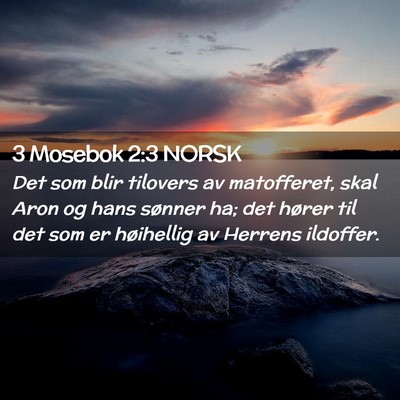 Picture 02 - 3 Mosebok 2:3 NORSK - Det som blir tilovers av matofferet, skal Aron og - Bible Verse Picture