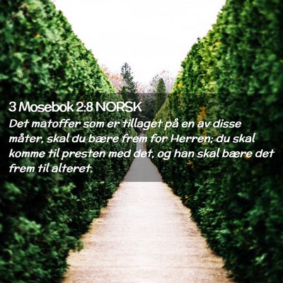 Picture 02 - 3 Mosebok 2:8 NORSK - Det matoffer som er tillaget på en av disse - Bible Verse Picture