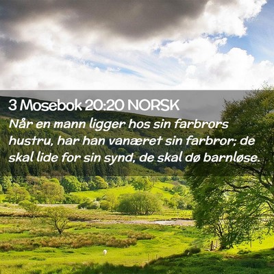 Picture 02 - 3 Mosebok 20:20 NORSK - Når en mann ligger hos sin farbrors hustru, har - Bible Verse Picture