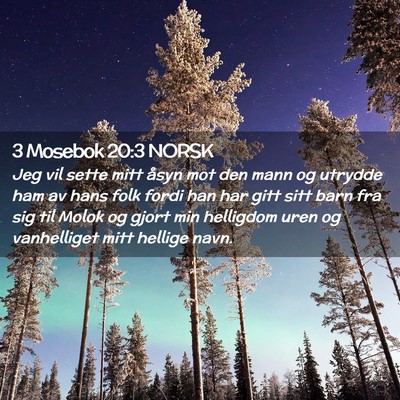 Picture 02 - 3 Mosebok 20:3 NORSK - Jeg vil sette mitt åsyn mot den mann og utrydde - Bible Verse Picture
