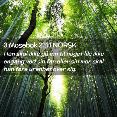 Picture 02 - 3 Mosebok 21:11 NORSK - Han skal ikke gå inn til noget lik; ikke engang - Bible Verse Picture
