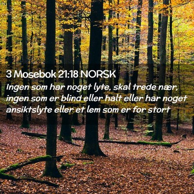 Picture 02 - 3 Mosebok 21:18 NORSK - Ingen som har noget lyte, skal trede nær, ingen - Bible Verse Picture