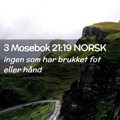 Picture 02 - 3 Mosebok 21:19 NORSK - ingen som har brukket fot eller - Bible Verse Picture