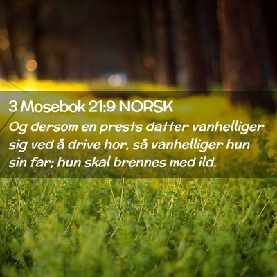 Picture 02 - 3 Mosebok 21:9 NORSK - Og dersom en prests datter vanhelliger sig ved å - Bible Verse Picture
