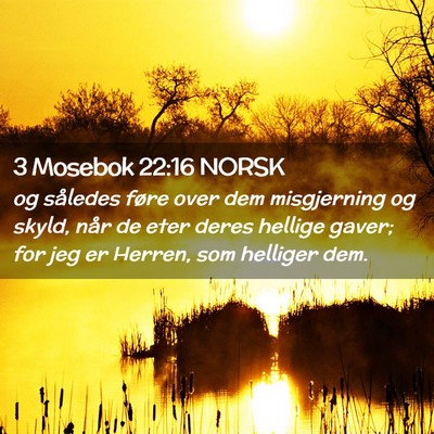 Picture 02 - 3 Mosebok 22:16 NORSK - og således føre over dem misgjerning og skyld, - Bible Verse Picture