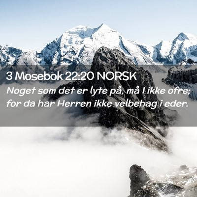 Picture 02 - 3 Mosebok 22:20 NORSK - Noget som det er lyte på, må I ikke ofre; for - Bible Verse Picture