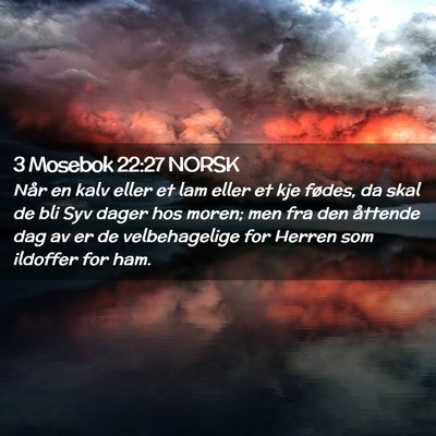 Picture 02 - 3 Mosebok 22:27 NORSK - Når en kalv eller et lam eller et kje fødes, da - Bible Verse Picture