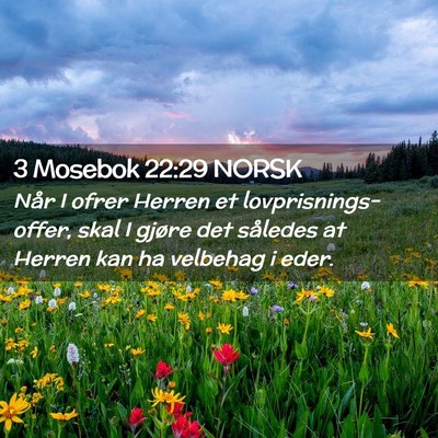 Picture 02 - 3 Mosebok 22:29 NORSK - Når I ofrer Herren et lovprisnings-offer, skal I - Bible Verse Picture