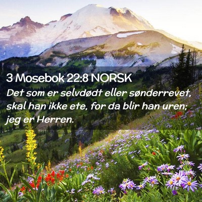 Picture 02 - 3 Mosebok 22:8 NORSK - Det som er selvdødt eller sønderrevet, skal han - Bible Verse Picture