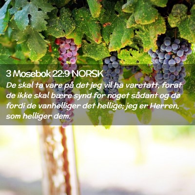 Picture 02 - 3 Mosebok 22:9 NORSK - De skal ta vare på det jeg vil ha varetatt, - Bible Verse Picture