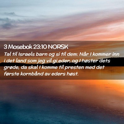 Picture 02 - 3 Mosebok 23:10 NORSK - Tal til Israels barn og si til dem: Når I kommer - Bible Verse Picture