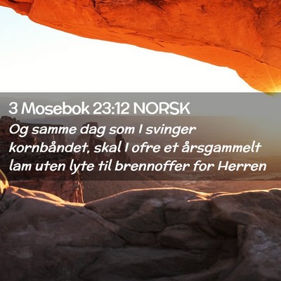 Picture 02 - 3 Mosebok 23:12 NORSK - Og samme dag som I svinger kornbåndet, skal I - Bible Verse Picture
