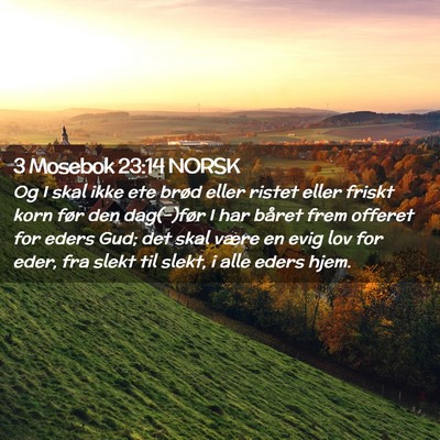 Picture 02 - 3 Mosebok 23:14 NORSK - Og I skal ikke ete brød eller ristet eller - Bible Verse Picture